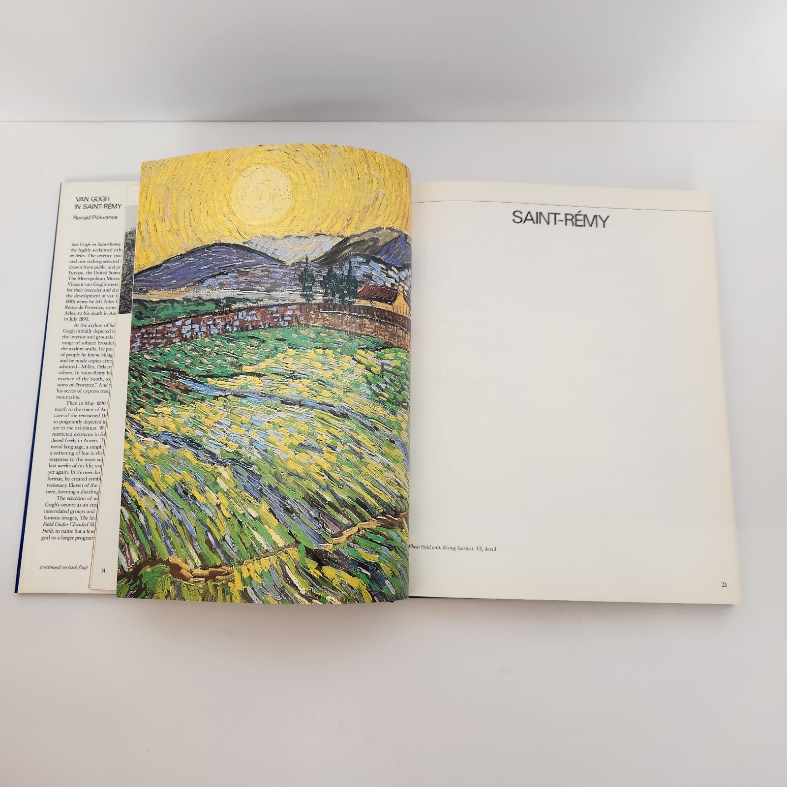 Van Gogh in Saint-Remy and Auvers Ronald Pickvance Met Museum Hardcover 1986