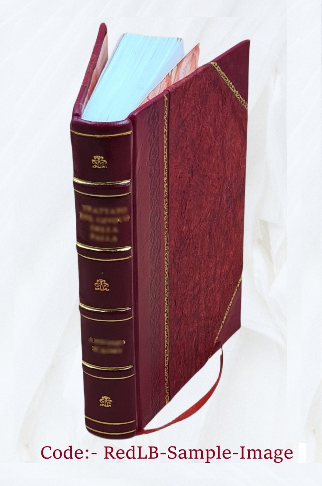 Clinical Therapeutics 1885 By Dujardin-Beaumetz, E. P. Hurd(Tr.) [Leather Bound]