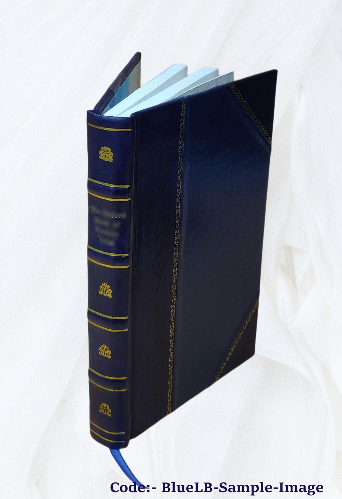 Clinical Therapeutics 1885 By Dujardin-Beaumetz, E. P. Hurd(Tr.) [Leather Bound]
