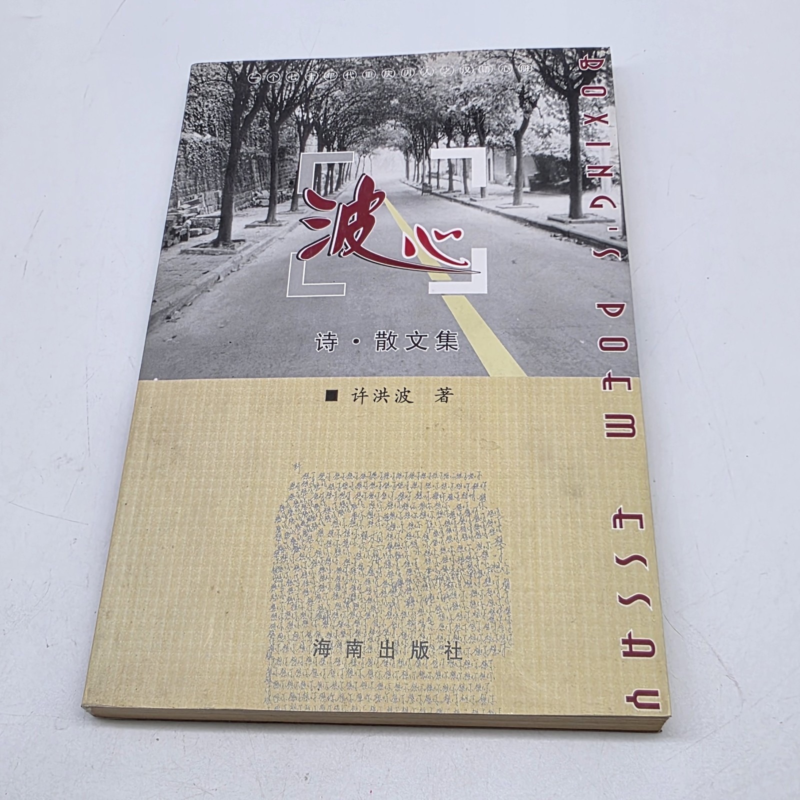 波心 Bo Xin Chinese Poetry Prose Collection 2004 Hainan Publishing Xu Hongbo 许洪波