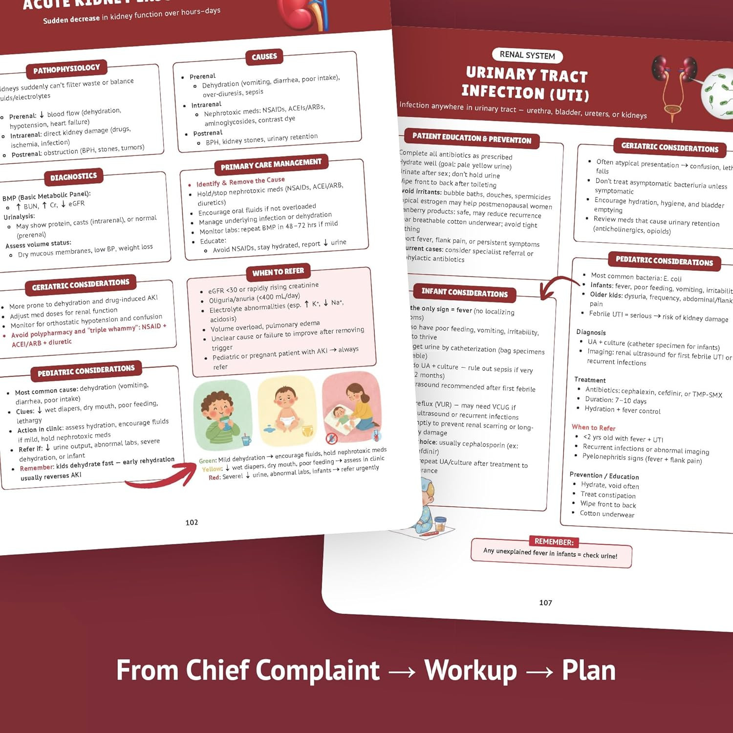 The Essential Family Nurse Practitioner Guide