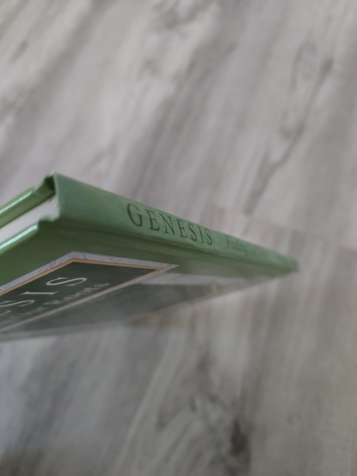Genesis: Finding Our Roots By Ruth Beechick