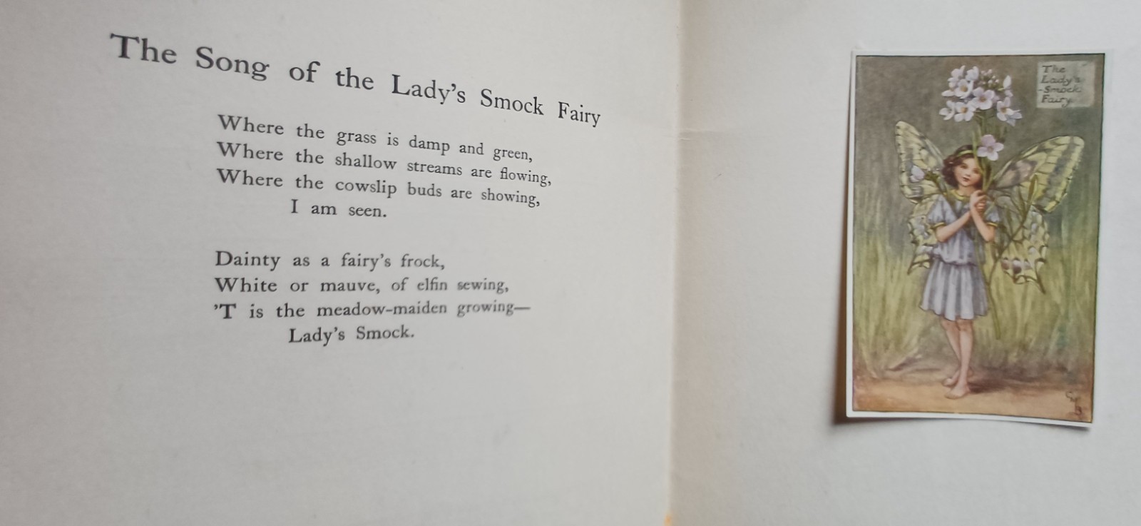 1st ed C1924 Cicely Mary Barker Flower fairies of the Spring music Tipped In