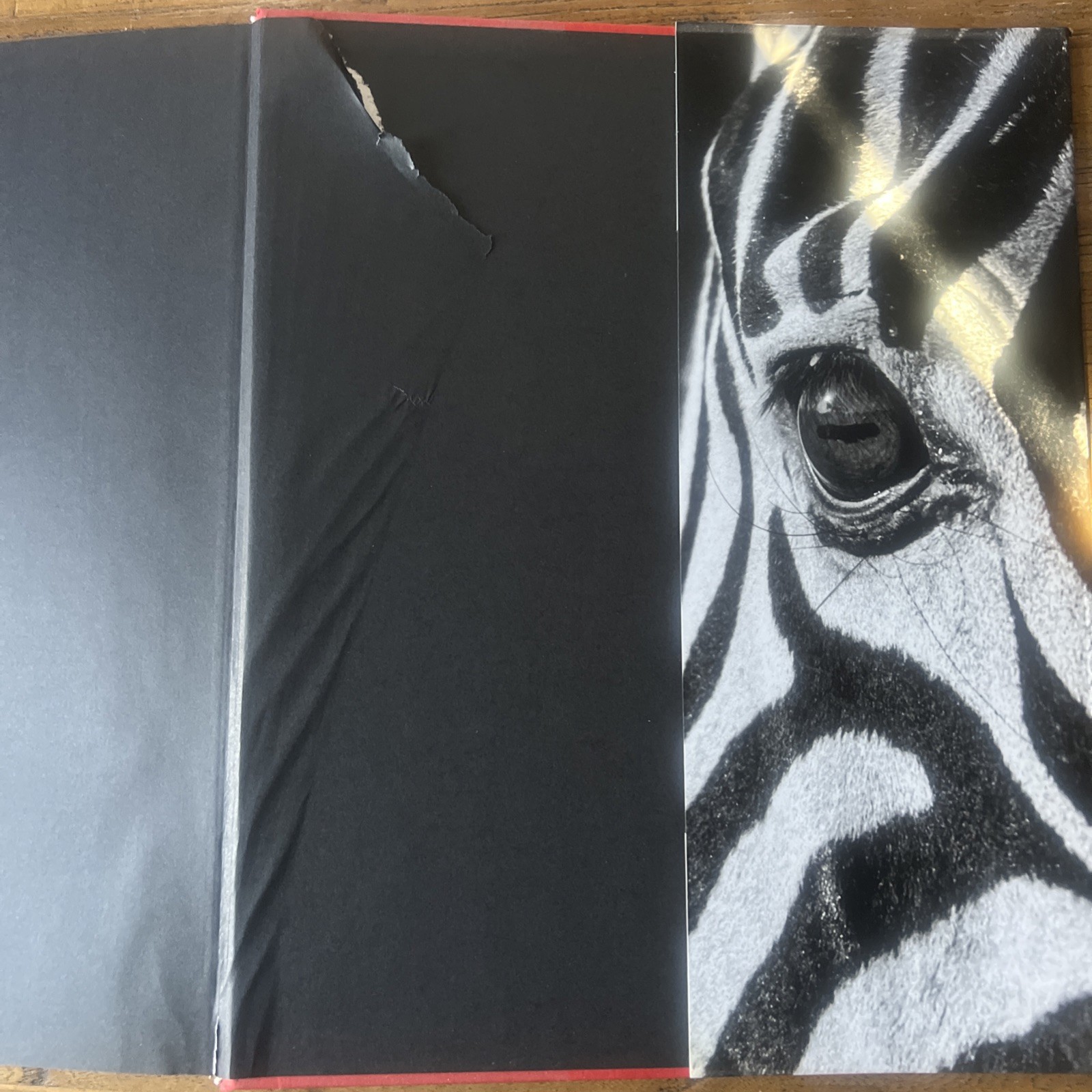THE FAMILY ALBUM OF WILD AFRICA By Laurent Baheux – Hardcover teNeues DAMAGED