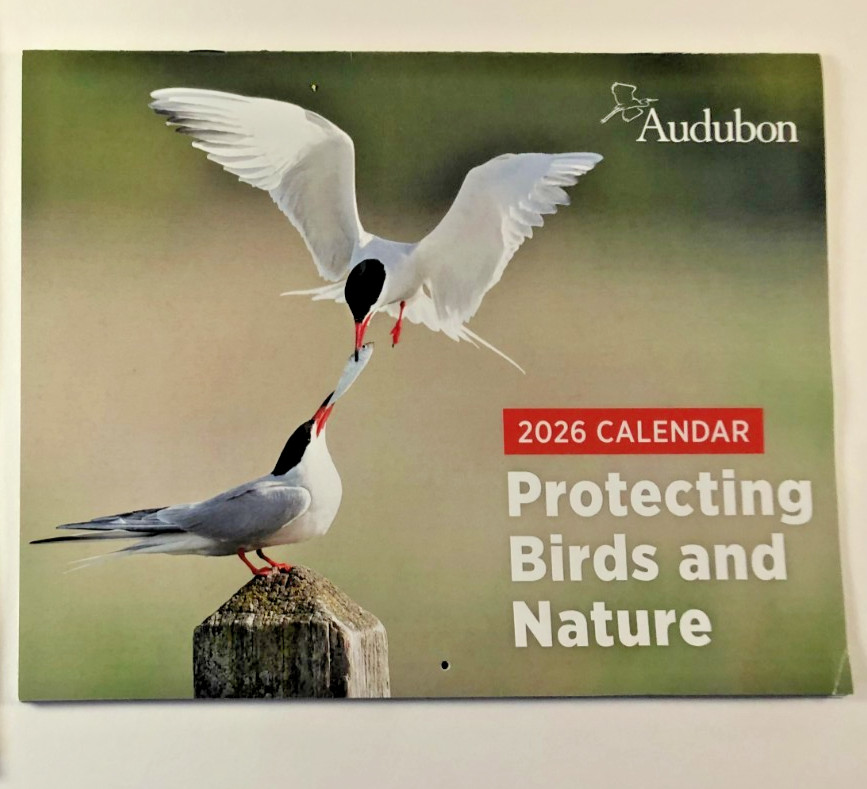 Audubon Magazine Spring 2025 Brown Pelicans Coral Reefs Cranes + 2026 Calendar