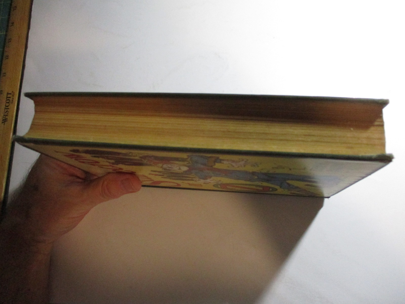 Scarecrow of Oz, L Frank Baum, Reilly & Lee, 12 Color Plates, 1923 Edition
