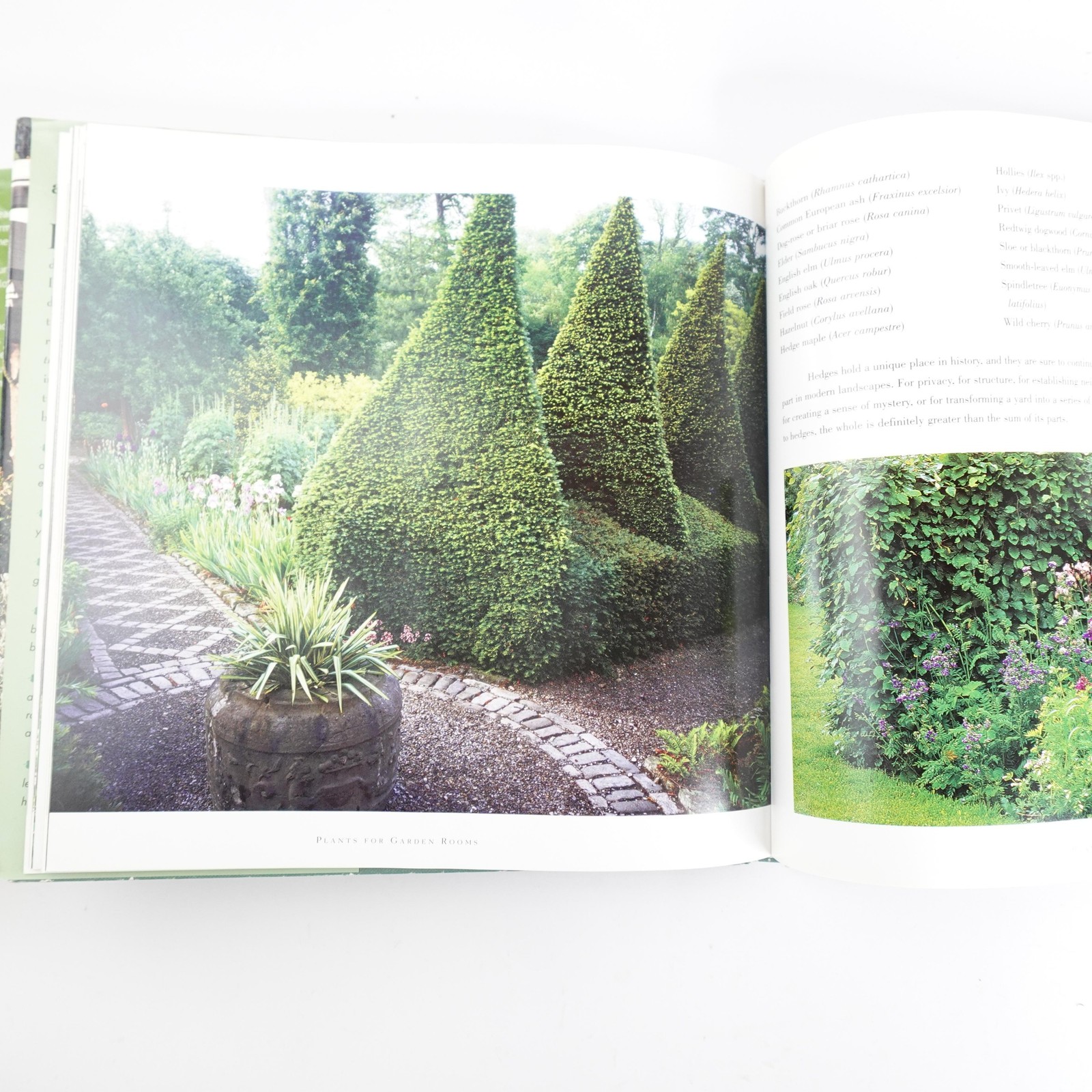 Lot of 4 Garden Design Books Small Gardens Decorating with Plants Feng Shui
