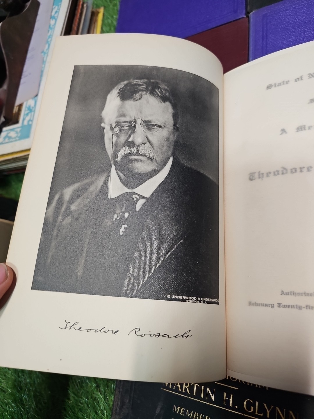8 Original State of New York In Memoriam Book Lot Roosevelt Ellsworth More