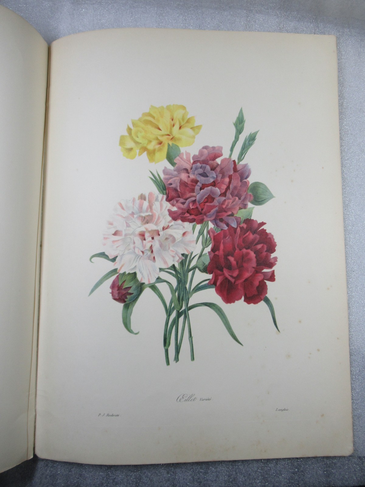 Pierre Joseph Redoute Fruits and Flowers – Ariel Press 1955 – 24 Large Plates