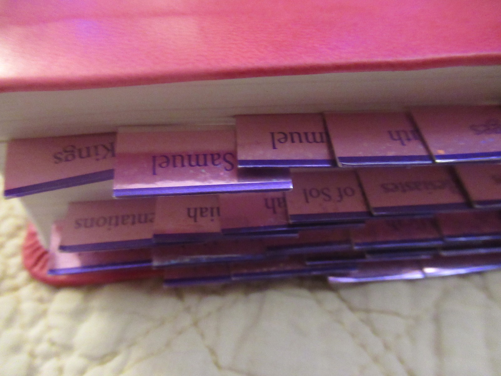 God’s Word for Girls (Pink Faux Leather Bound) (God’s Word Translation)