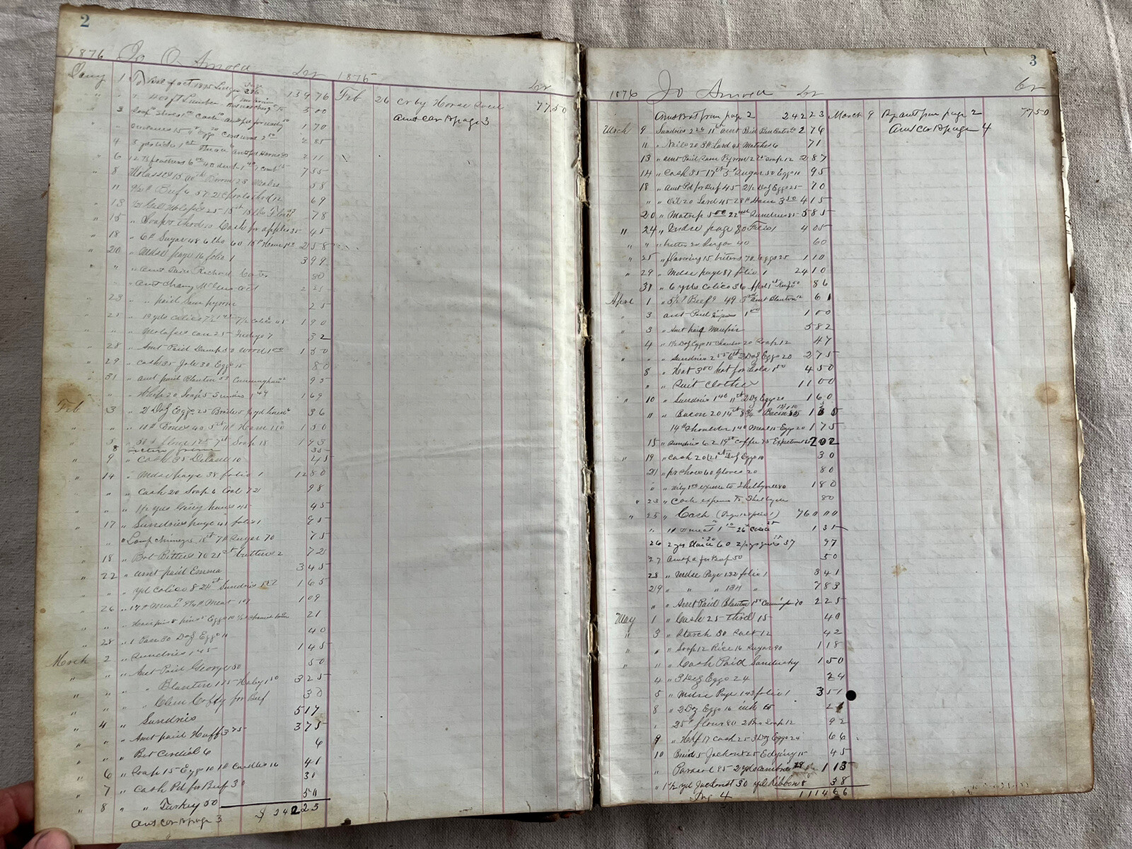 1876 Arnold Bros. Dry Goods 480 Full Pages Ledger Wartrace TN History Geneology