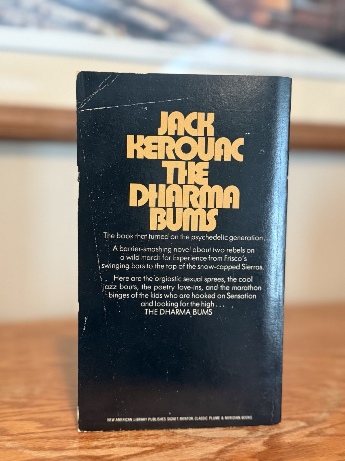 The Dharma Bums By Jack Kerouac (SIGNET, 1959) Vtg Paperback Book PB