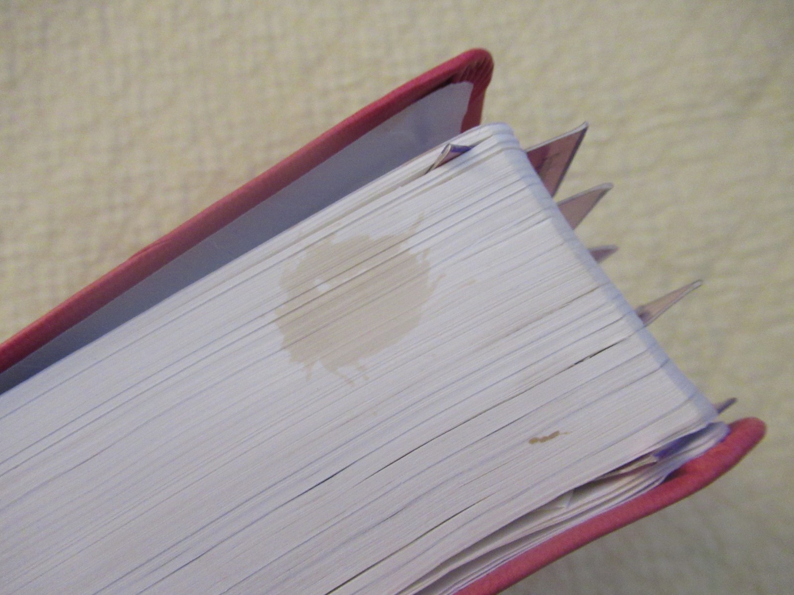 God’s Word for Girls (Pink Faux Leather Bound) (God’s Word Translation)