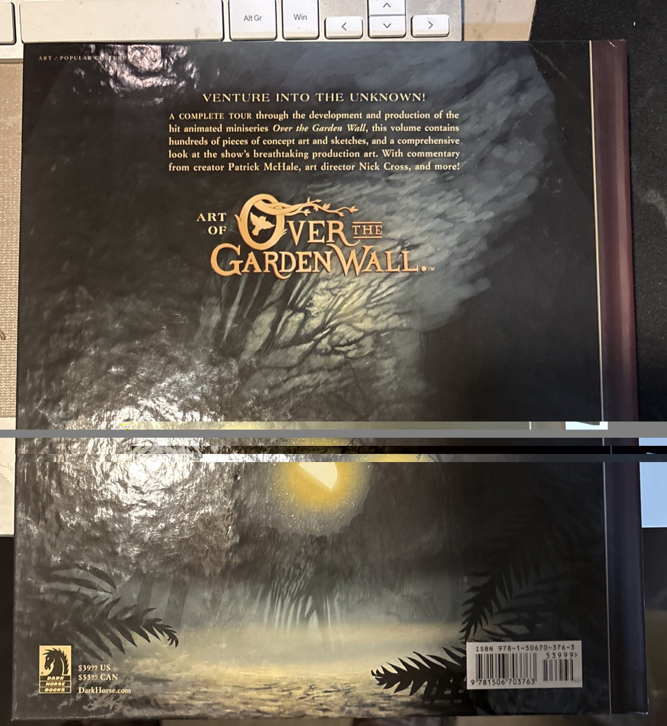 The Art Of Over The Garden Wall Book