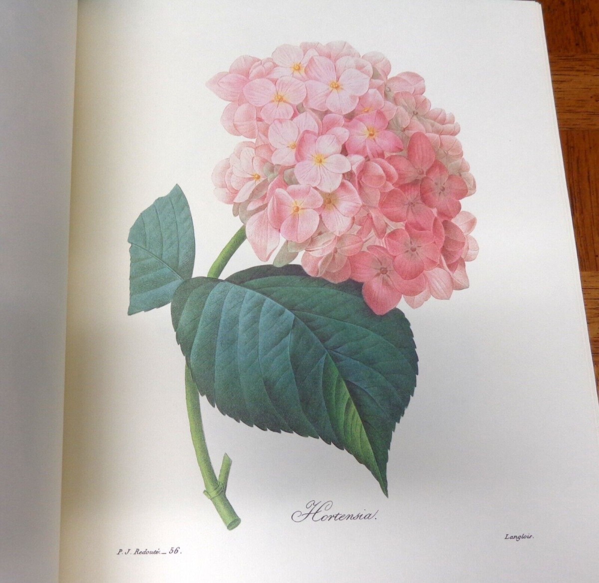 LES PLUS BELLES FLEURS DE PIERRE-JOSEPH REDOUTE 1983 Editions Cercle D’Art