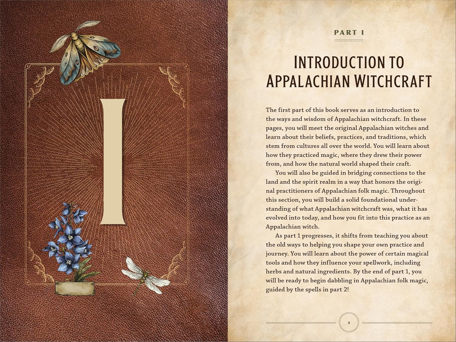 Appalachian Witchcraft for Beginners: The History, Remedies, and Spells of a Ric
