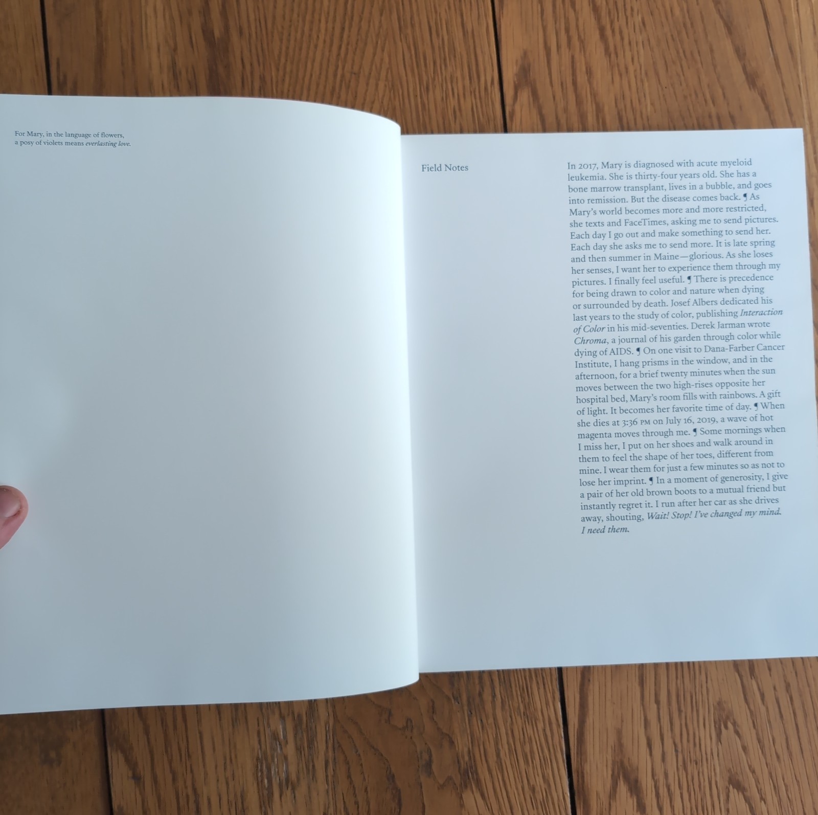 Blue Violet by Cig Harvey Hardcover 2021