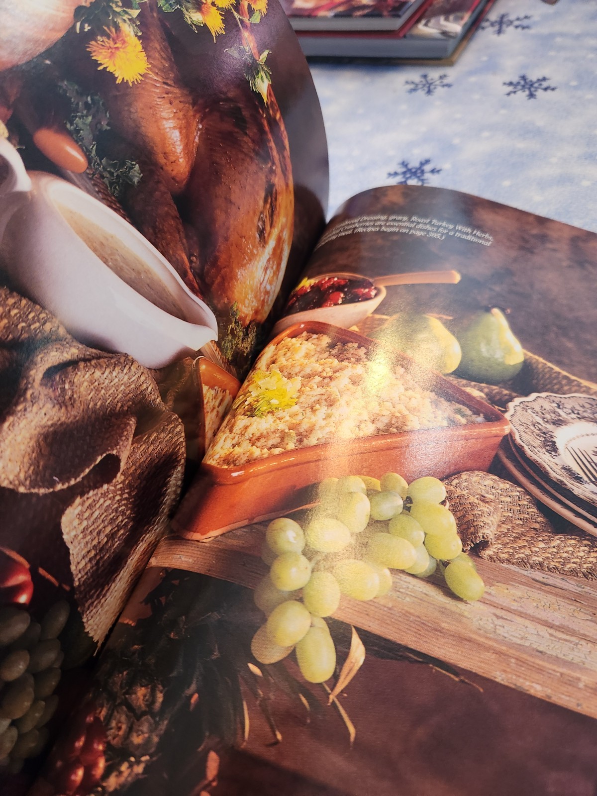 Southern Living 1995 Annual Recipes Cookbook Every Recipe from 1995 368 Pages
