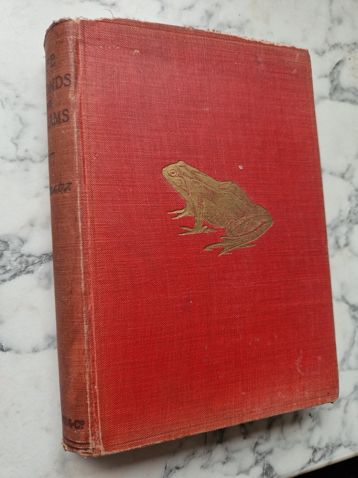 (1919) Life in Ponds and Streams W Furneaux Illustrated frogs snails molluscs