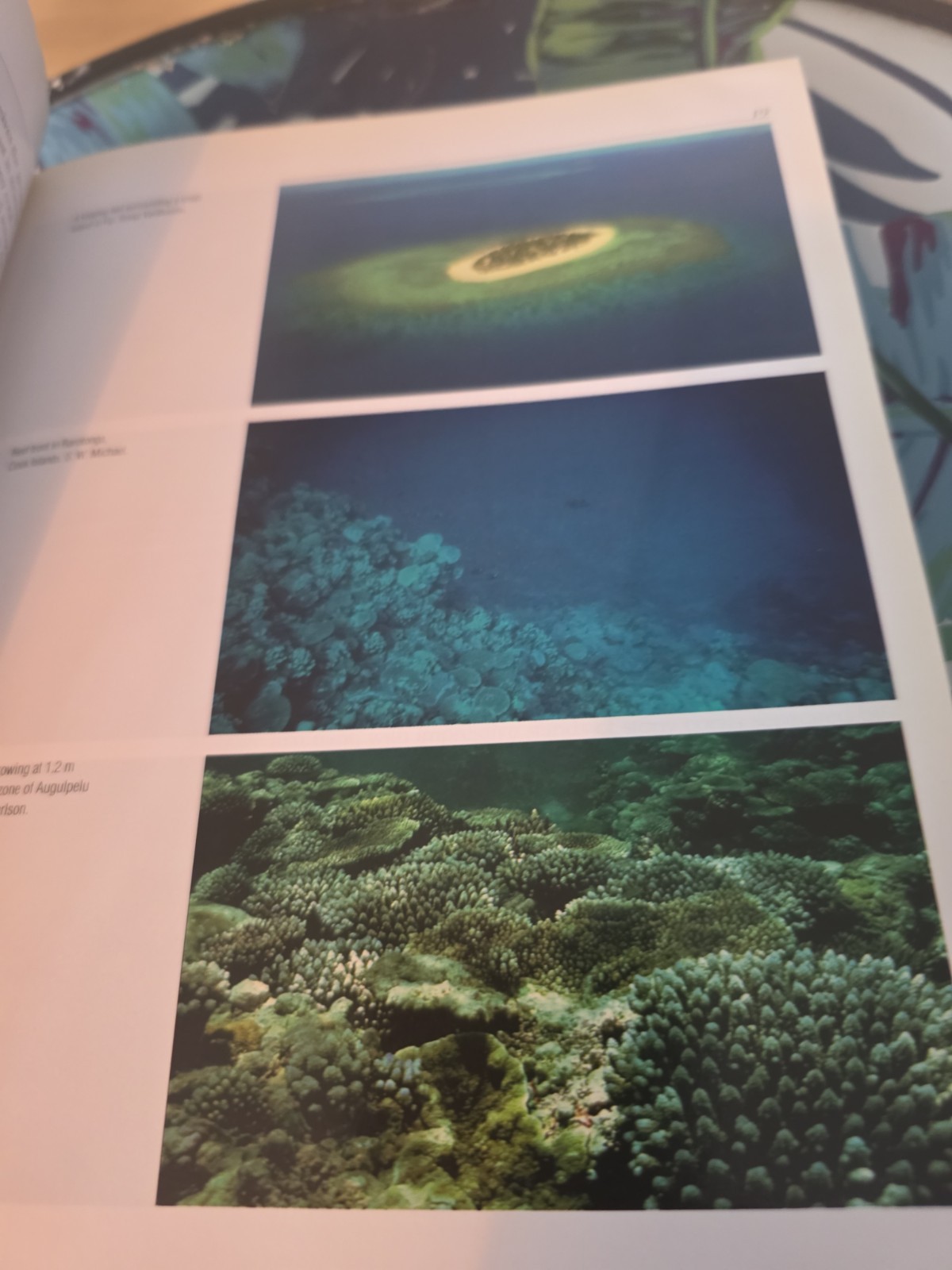 The Reef Aquarium: A Comprehensive Guide Volume One J. Charles Delbeek