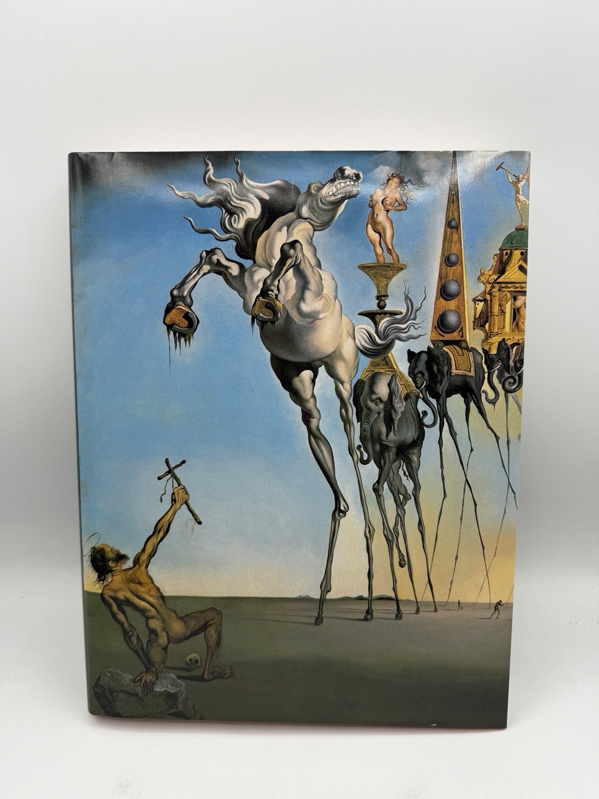 SALVADOR DALI The Paintings Benedikt Taschen Volumes I and II USED Free Shipping