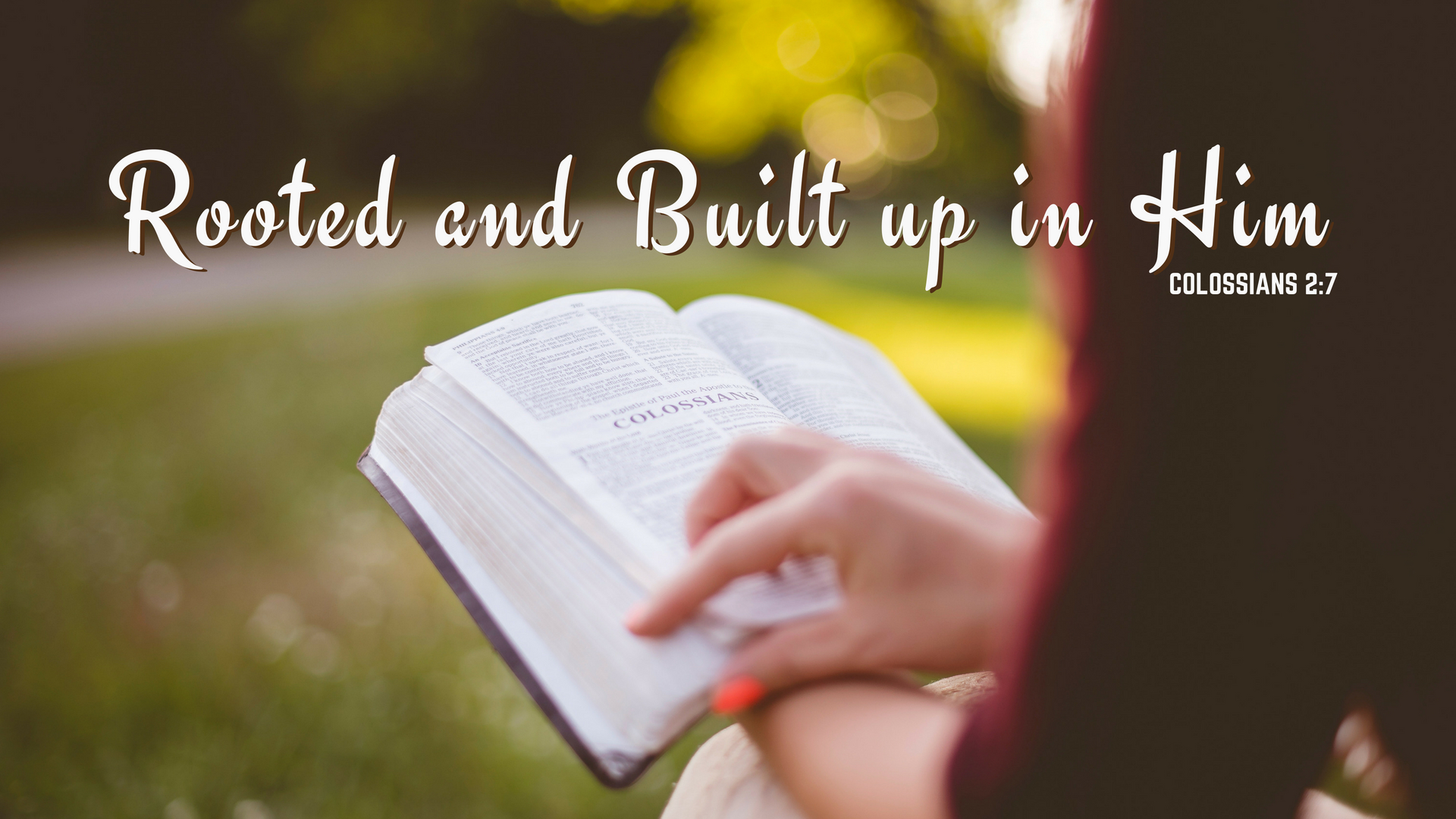 Rooted and Built up in Christ Colossians 2:7 | Oak Grove Church of Christ