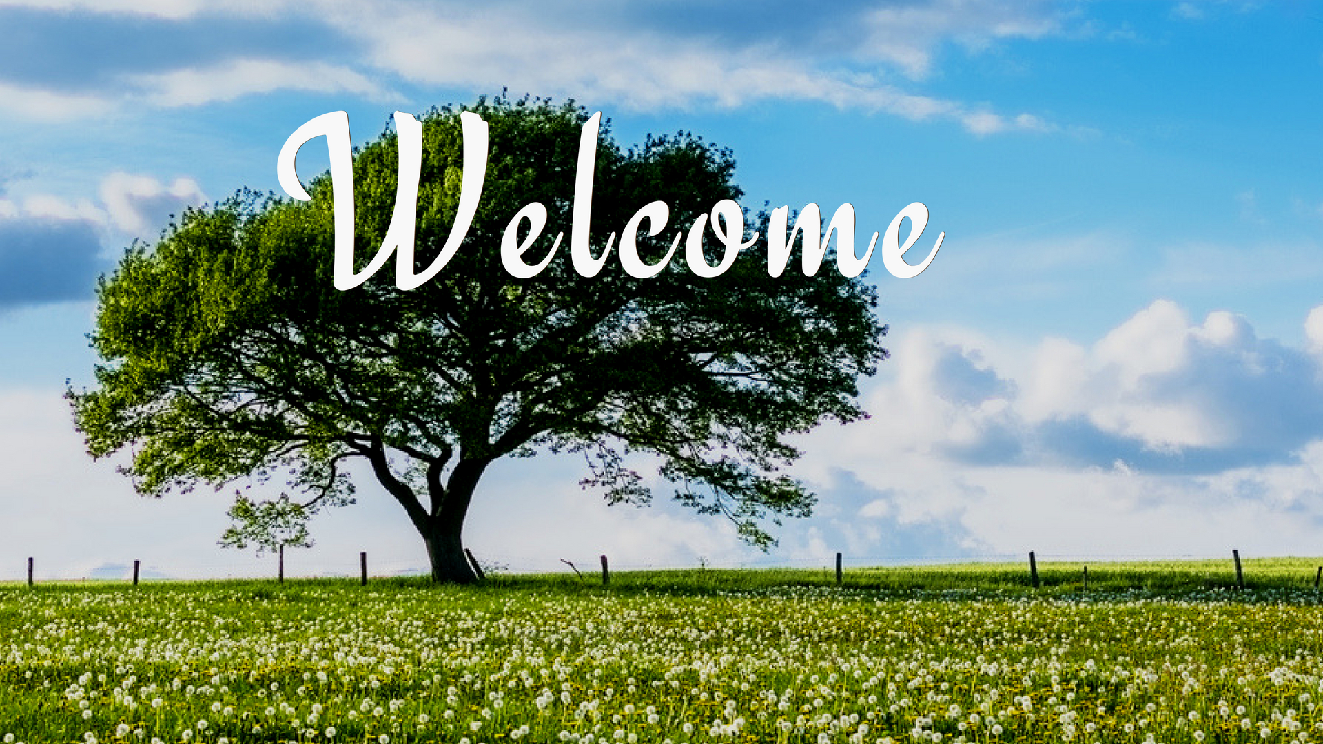 Welcome | Oak Grove Church of Christ