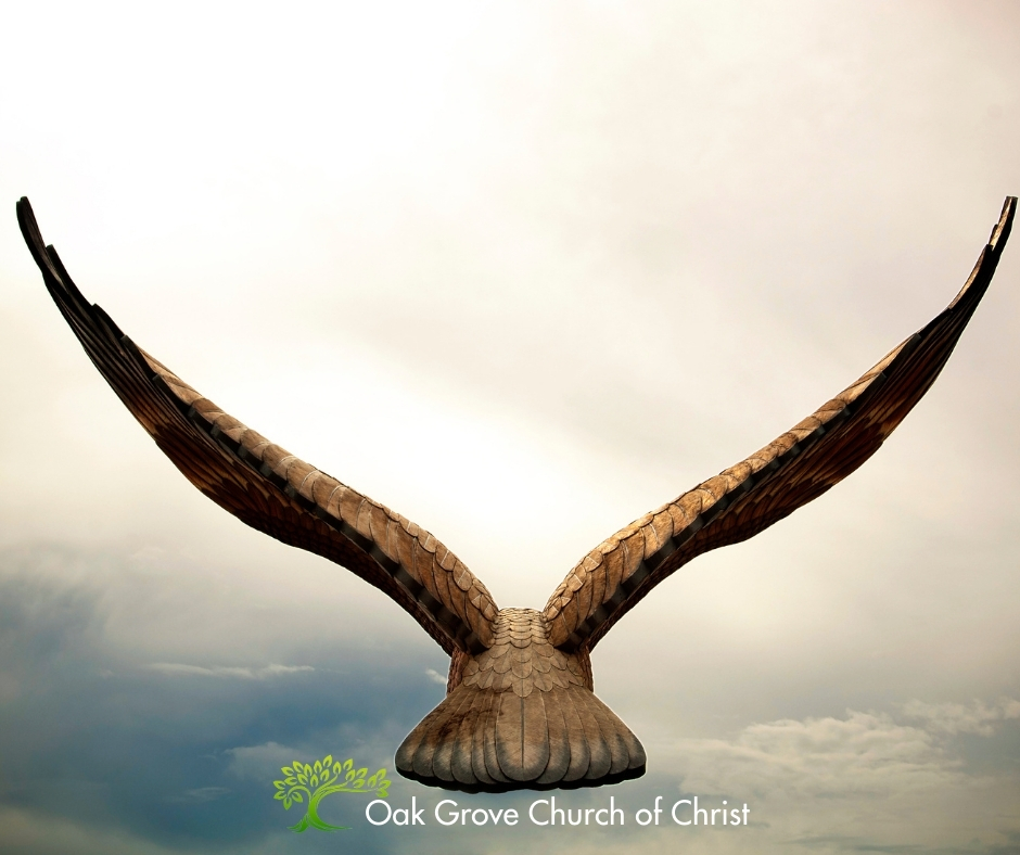 Image: Flying Eagle - Text: Spiritual and National Liberty