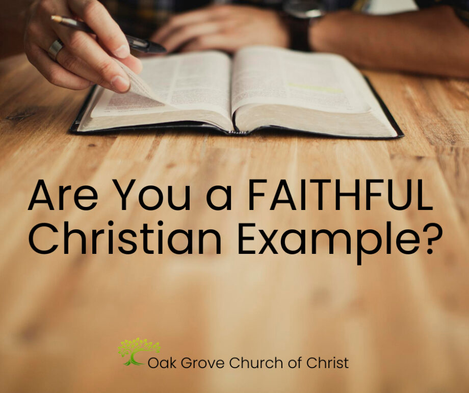 what is faithful representation