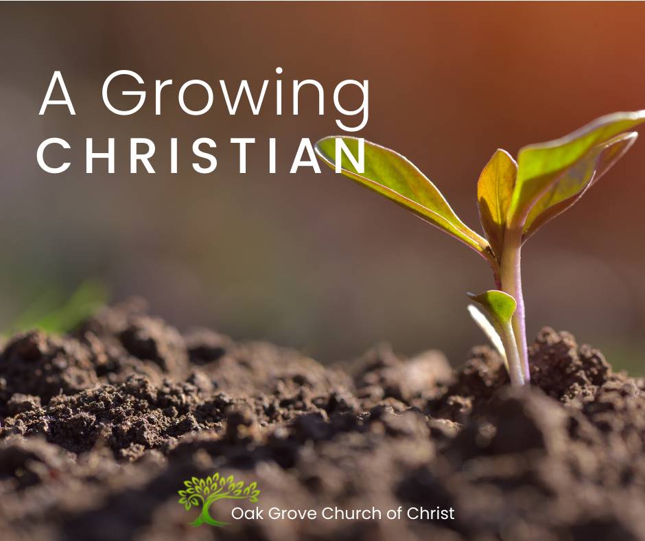A Growing Christian | Oak Grove Church of Christ, Jack McNiel, Minister (Image of a growing sprout).