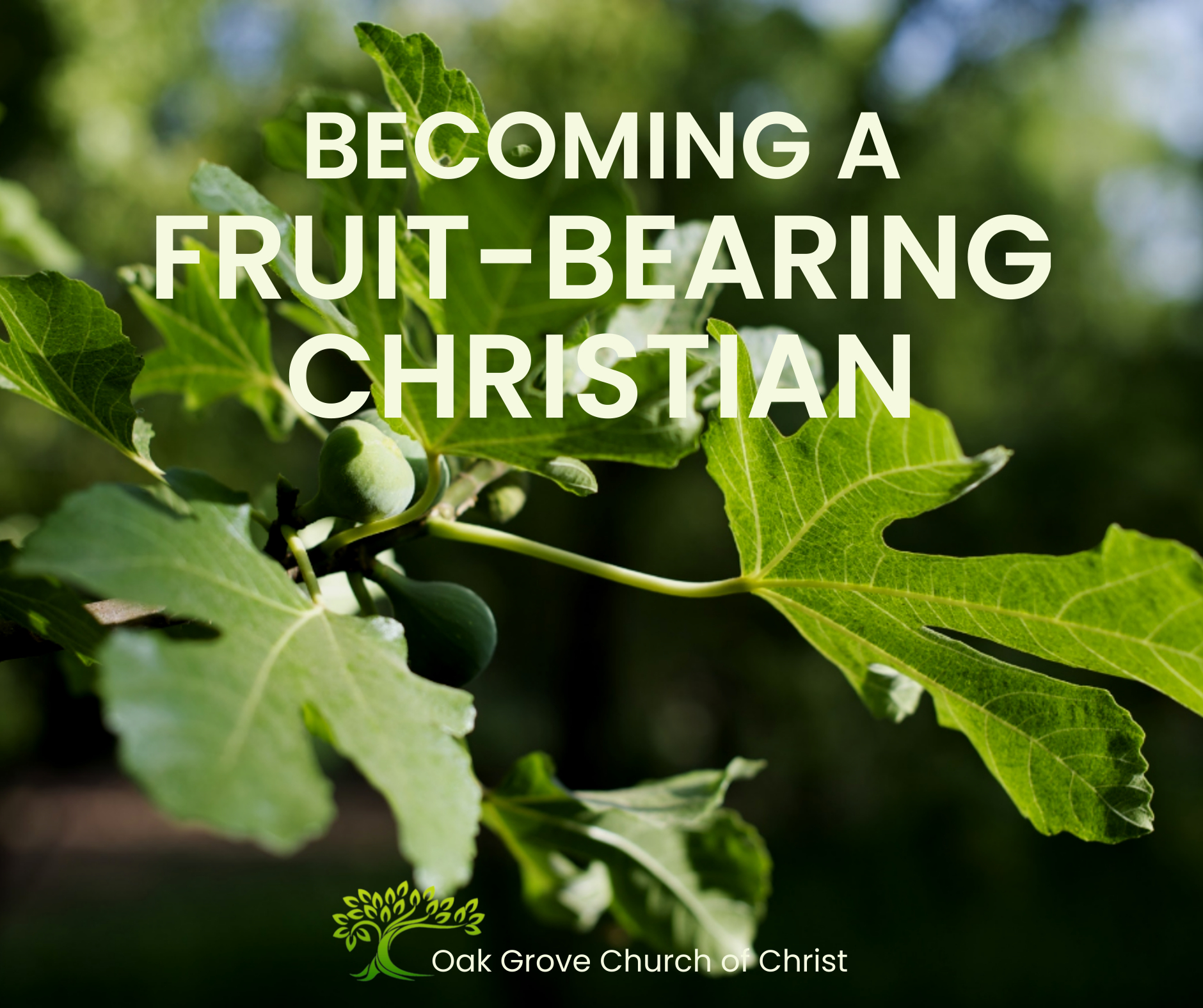 Becoming a Fruit-Bearing Christian | Oak Grove Church of Christ, Nathan Cozort, Minister
